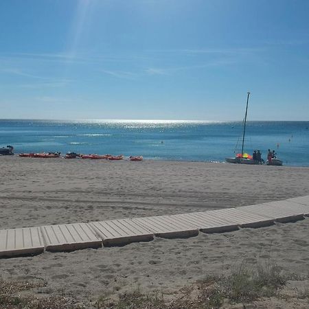 Sunrise Estudio Zebra, Con Vistas Jardin Y Mar Miami Playa Zewnętrze zdjęcie