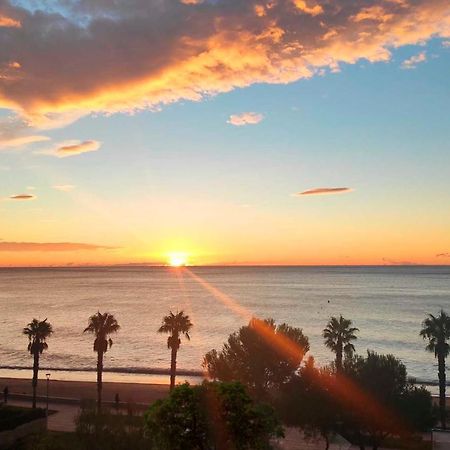 Sunrise Estudio Zebra, Con Vistas Jardin Y Mar Miami Playa Zewnętrze zdjęcie