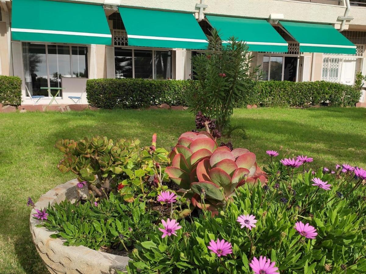 Sunrise Estudio Zebra, Con Vistas Jardin Y Mar Miami Playa Zewnętrze zdjęcie